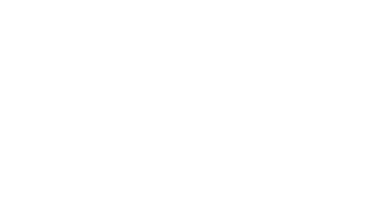 Asset 4elements-logo-draft